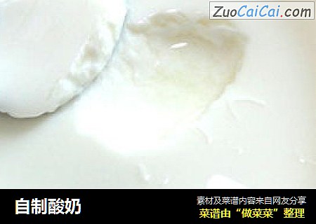 自制酸奶