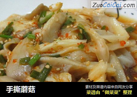 手撕蘑菇