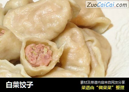 白菜饺子