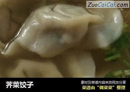 荠菜饺子