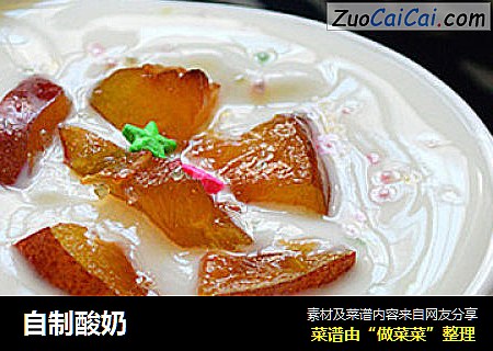 自制酸奶