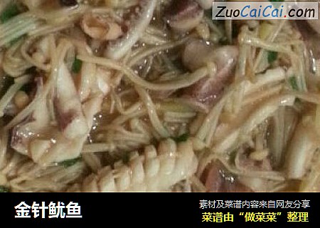 金针鱿鱼