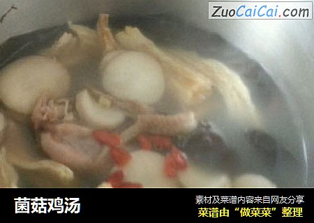 菌菇鸡汤