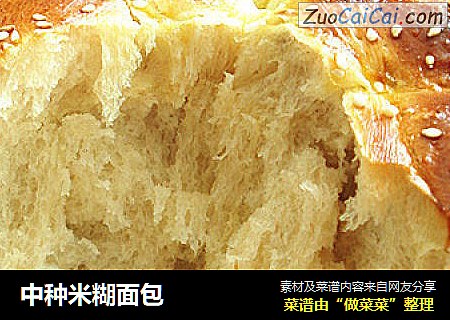 中种米糊面包