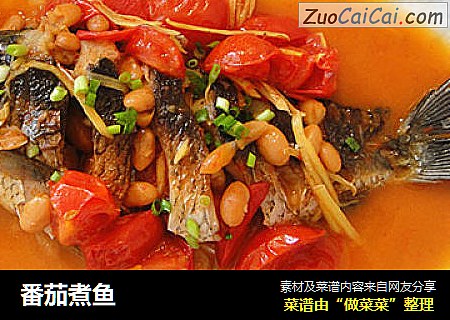 番茄煮鱼