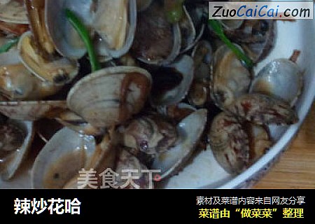 辣炒花哈