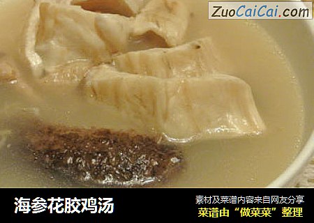 海参花胶鸡汤