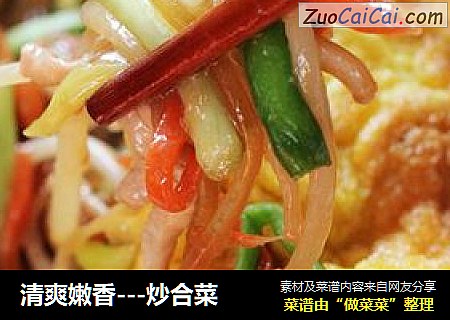 清爽嫩香---炒合菜