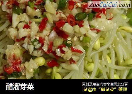 醋溜芽菜
