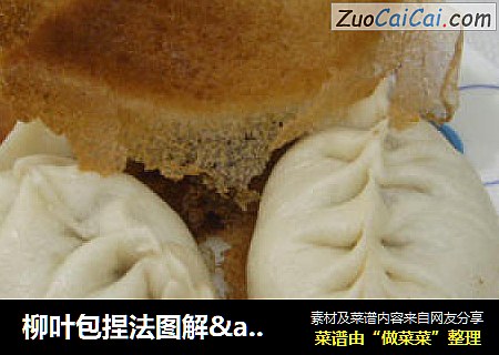 柳叶包捏法图解&水煎柳叶包