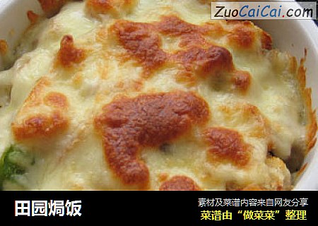 田园焗饭