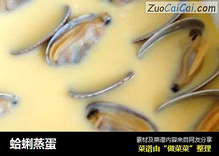 蛤蜊蒸蛋