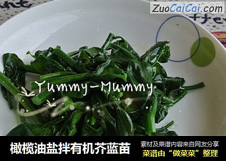 橄榄油盐拌有机芥蓝苗