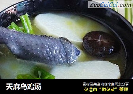 天麻乌鸡汤