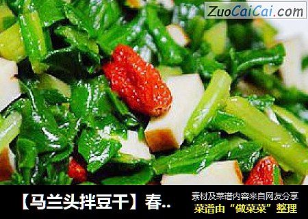 【马兰头拌豆干】春天餐桌上的养生明星菜