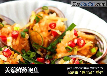 姜葱鲜蒸鲍鱼