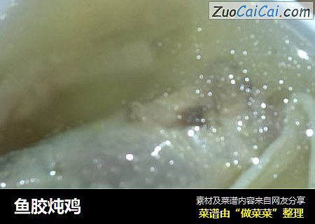 鱼胶炖鸡