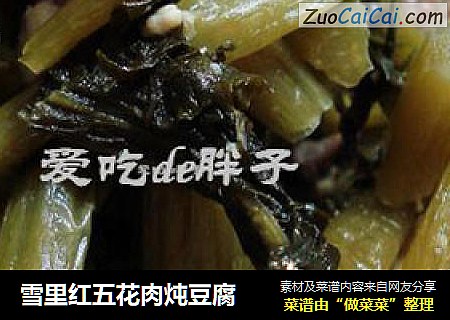 雪里红五花肉炖豆腐