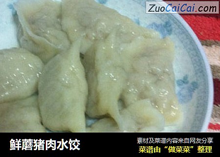 鲜蘑猪肉水饺