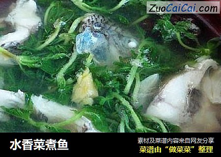 水香菜煮鱼
