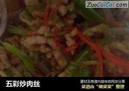 五彩炒肉丝