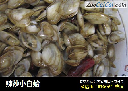 辣炒小白蛤