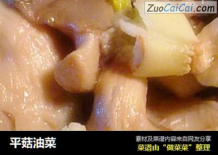 平菇油菜