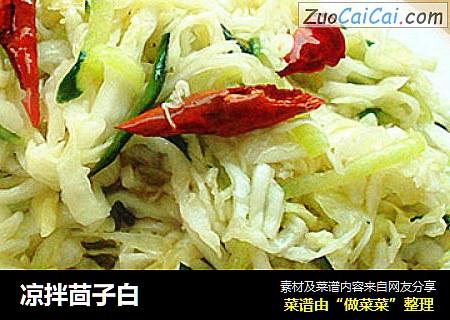 凉拌茴子白