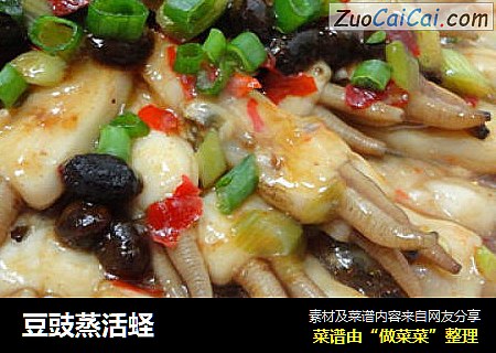 豆豉蒸活蛏
