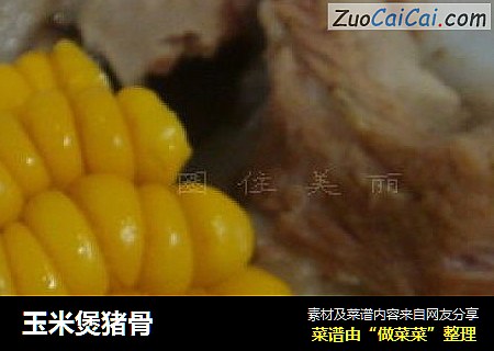 玉米煲猪骨