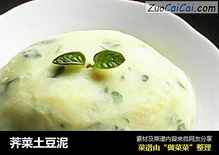 荠菜土豆泥