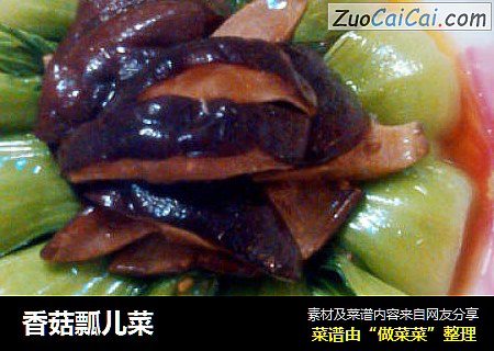 香菇瓢儿菜