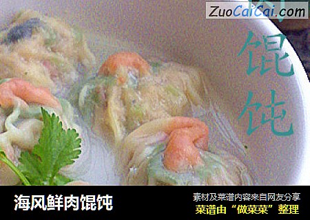 海风鲜肉馄饨