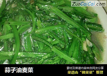 蒜子油麦菜