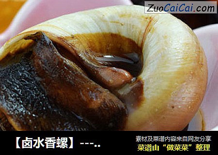 【卤水香螺】----海鲜也来卤着吃
