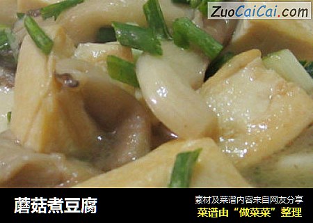 蘑菇煮豆腐