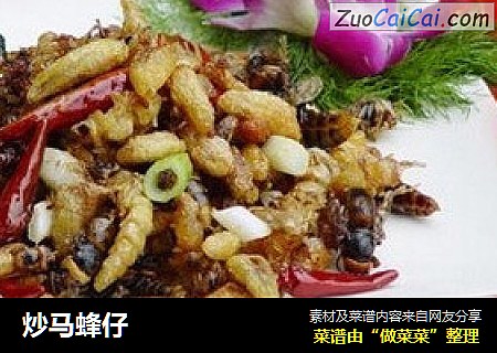 炒马蜂仔
