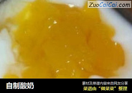 自制酸奶