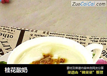 桂花酸奶