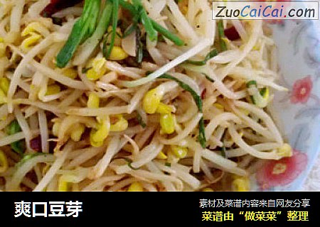 爽口豆芽