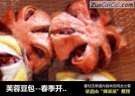 芙蓉豆包--春季开花时