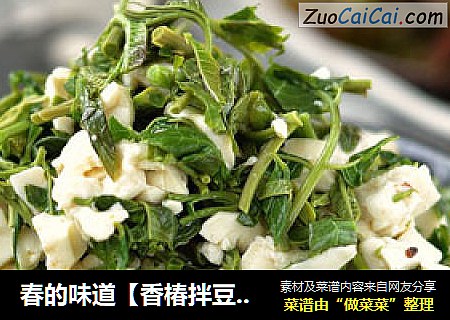 春的味道【香椿拌豆腐】