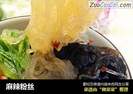 麻辣粉丝