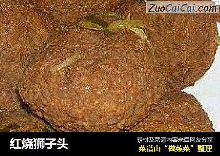 红烧狮子头