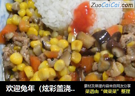 欢迎兔年（炫彩盖浇饭）