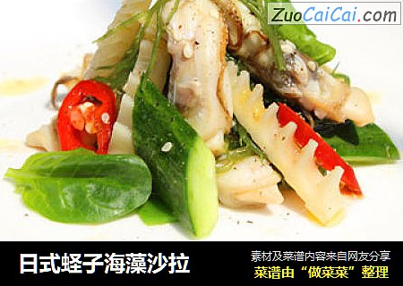 日式蛏子海藻沙拉