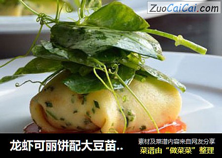 龙虾可丽饼配大豆苗莎拉和萝卜乳