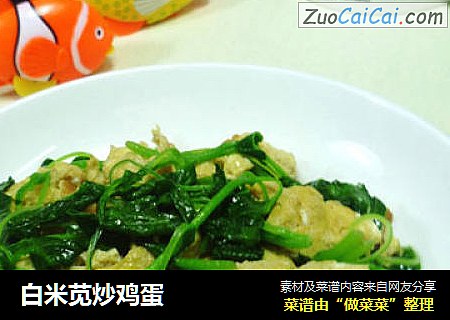 白米苋炒鸡蛋
