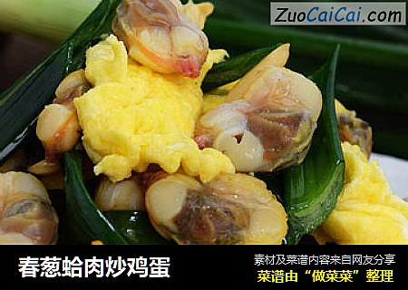 春葱蛤肉炒鸡蛋