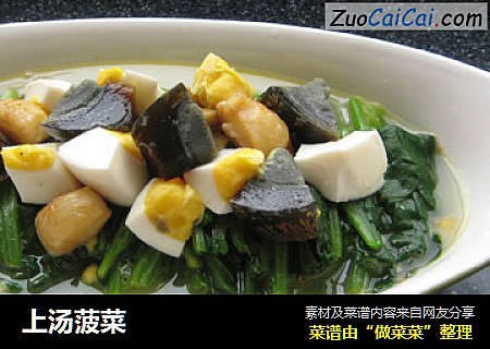 上汤菠菜